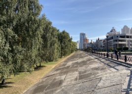 iPhone 11 фото