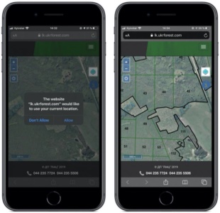«Ліс у смартфоні». Гослесагентство запустило «пилот» электронного реестра лесорубочных билетов и онлайн-карту рубки леса
