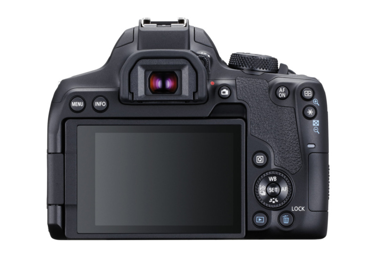 Canon анонсировала беззеркальную камеру EOS R5 с поддержкой записи 8K-видео и начальную зеркальную модель EOS 850D