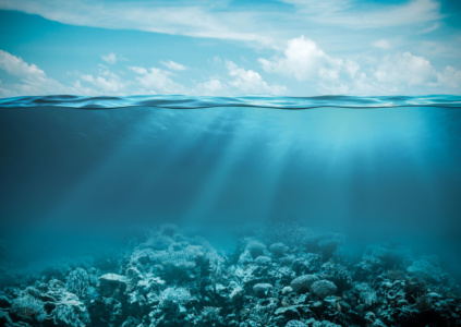 Исследователи нанесли на карту почти пятую часть дна мирового океана