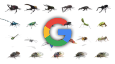 Жуки, бабочки, цикады и прочие. Google пополнила библиотеку AR-поиска более чем двумя десятками разных насекомых
