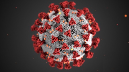 Исследователи: коронавирус может оставаться жизнеспособным на поверхности дисплеев смартфонов на протяжении 28 дней