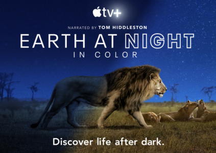 Рецензия на документальный сериал Earth at Night in Color / «Ночная земля в цвете»