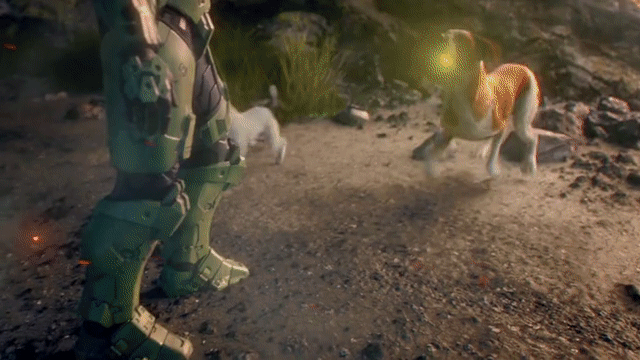 «Найди свою радость». Microsoft выпустила добрый рождественский ролик с собаками, резвящимися в Halo, Minecraft и Flight Simulator