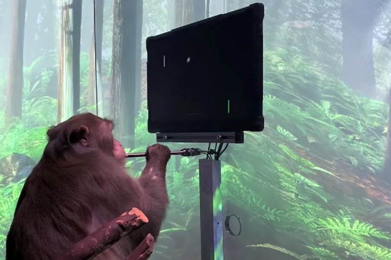 Стартап Neuralink Илона Маска показал обезьяну с вживленным чипом, играющую на ПК в пинг-понг силой мысли [Видео] - ITC.ua