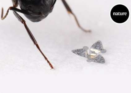 Исследователи разработали крохотные летающие микрочипы, которые могут переноситься ветром для контроля загрязнения воздуха