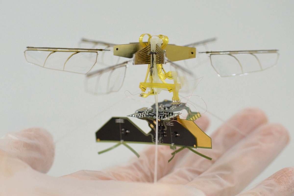 Ученый показал мини-дрон, который похож на насекомое Новости