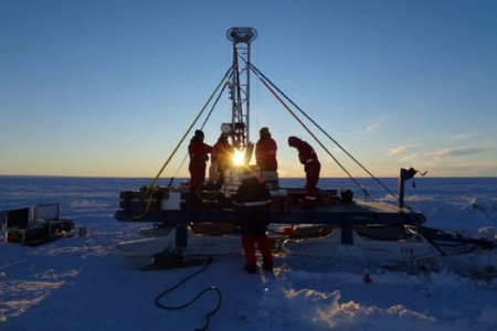Ученые обнаружили под шельфовым ледником Антарктики 77 видов организмов
