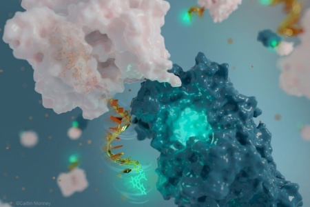 Канадские химики создали самую маленькую в мире антенну из молекул ДНК — все ради наблюдения за белками