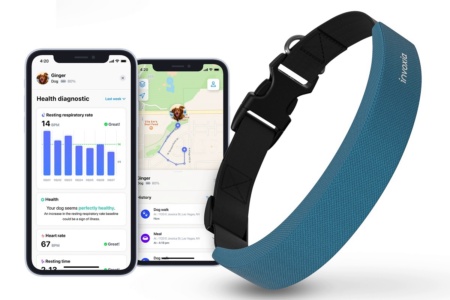 Apple Watch для собак: «умный» ошейник Invoxia с GPS умеет мониторить показатели здоровья