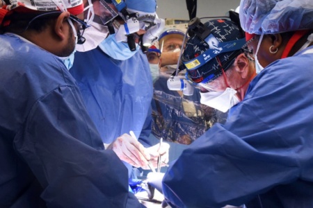 Американские хирурги впервые пересадили человеку генетически модифицированное сердце свиньи