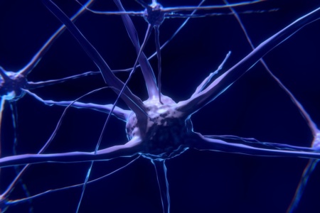 Исследование: у умерших от COVID-19 пациентов обнаружили проблемы с мозгом — как при болезни Альцгеймера