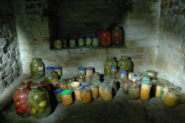 Советы по выживанию в условиях войны: как прожить в блокадном городе с минимальным запасом еды и воды