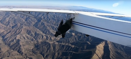 В США у ютубера відібрали ліцензію пілота за відео падіння літака