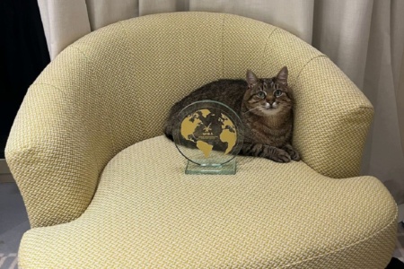 Украинский кот Степан получил престижную награду для блогеров и устроил фотосессию с разрушителем лайфхаков Хабане «Хаби» Леймом