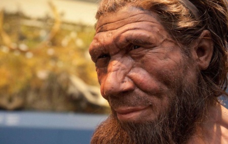 Nobel Prize in Physiology / Medicine went to Svante Paabo - Swedish biologist deciphered the Neanderthal genome and determined when extinct hominins first contacted Homo sapiens