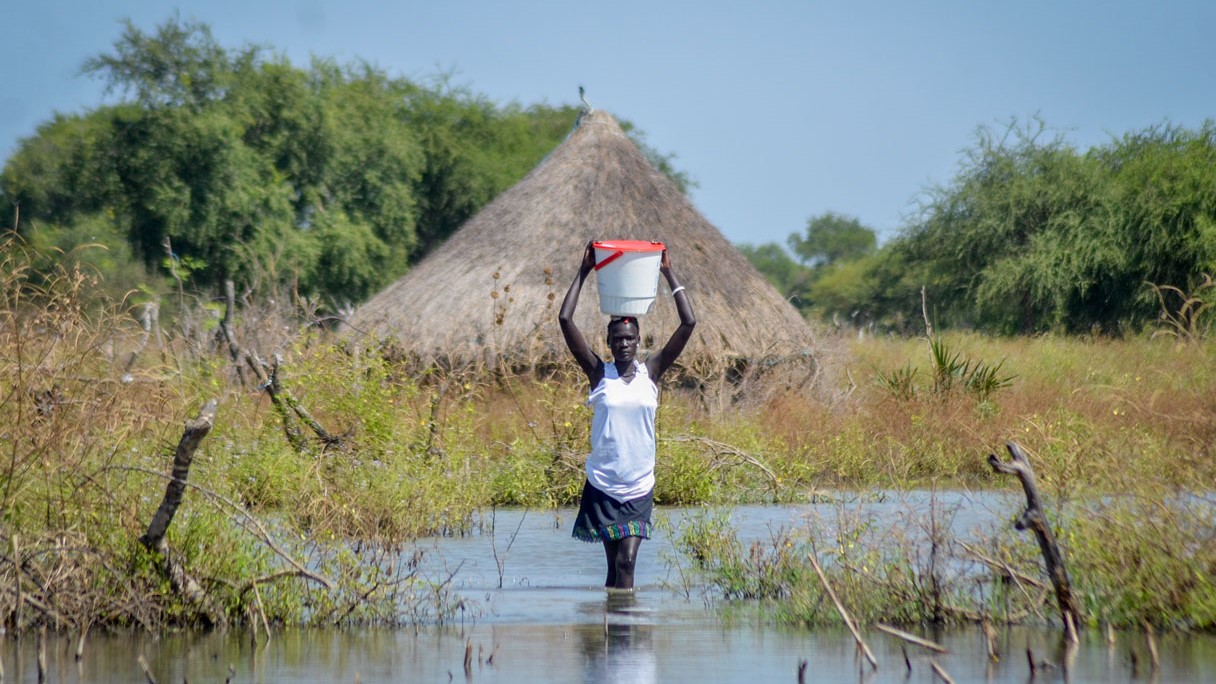 Судд или Сэдды - крупнейшее в Африке болото в Южном Судане, которое превратилось в горячую точку метана