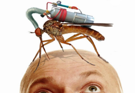 Резніков оголосив в Україні часткову мобілізацію «Москіти проти московитів» – призвуть близько 300 тис. комарів