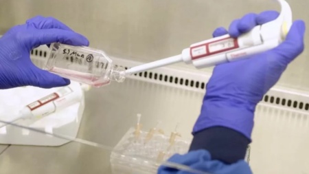 Клиницисты впервые сделали переливание искусственно созданной крови — образцы испытывают на 10 пациентах-добровольцах