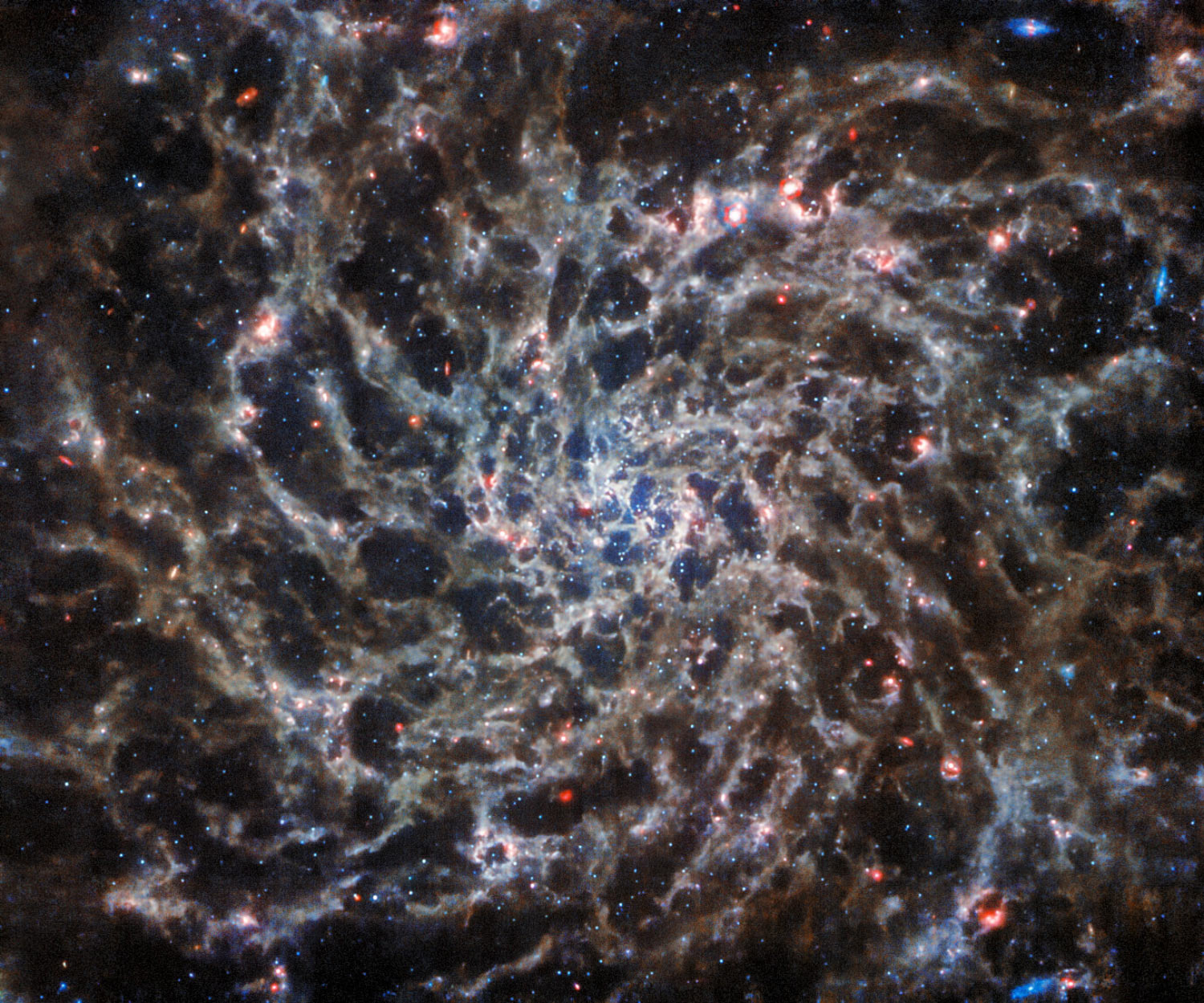 Інфрачервоне зображення Вебба, що демонструє щільні нитки пилу та газу, які складають павутиноподібну структуру галактики IC 5332. Зображення: ESA/Webb, NASA & CSA, Дж. Лі та команди PHANGS-JWST і PHANGS-HST, CC BY 2.0