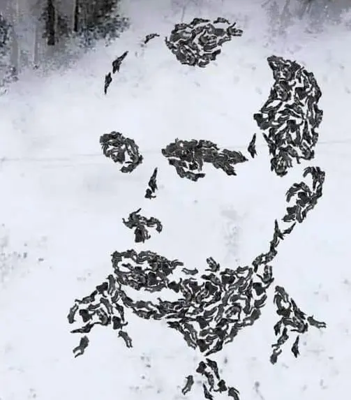 Украинцы создали уже 50 тыс. иронических картинок с надписями телами российских военных на снегу