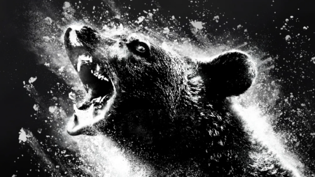Рецензія на фільм «Ведмідь під кайфом» / Cocaine Bear