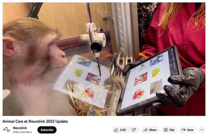 Скриншот з YouTube-відео Neuralink 2022 року, яке рекламує те, що компанія називає гуманним доглядом за тваринами. 