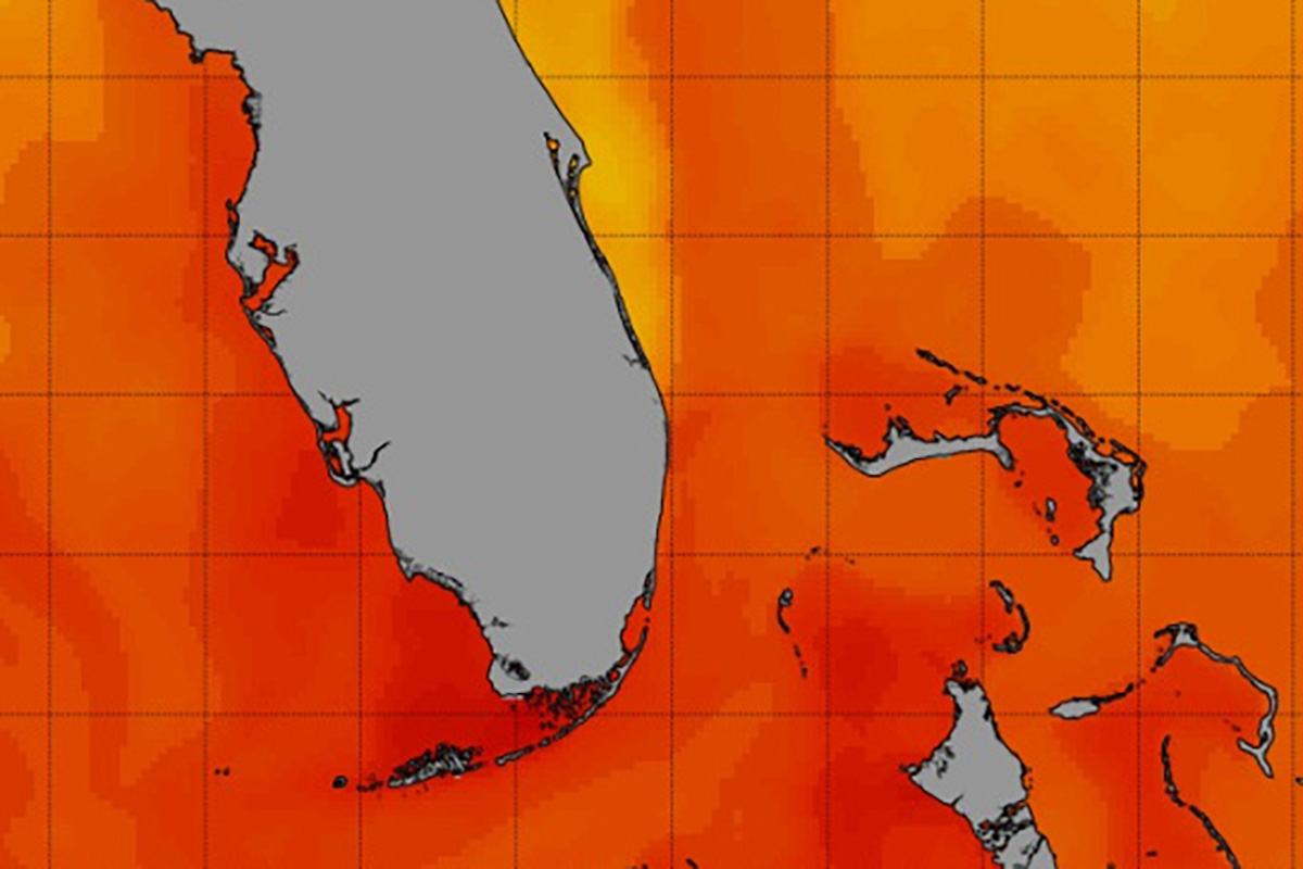 Климатический кризис уже в 2025 году: +38°C у побережья США, таянье льдов, остановка течений в Атлантике