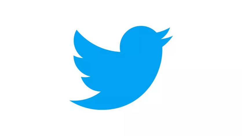 Згодом компанія придбала невеликий графічний символ світло-блакитного птаха у Саймона Окслі на iStock за $15. Названий Ларрі на честь баскетболіста Ларрі Берда, він спочатку не був частиною логотипа, але з’явився як значок на вебсайті.