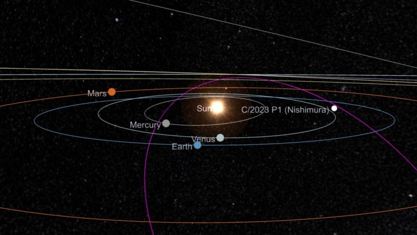 Орбітальний шлях комети Нісімура, (фіолетова лінія) накладений поверх орбіт планет Сонячної системи. Гіперболічна форма орбіти говорить про те, що комета може бути міжзоряним об’єктом. Джерело: NASA/JPL