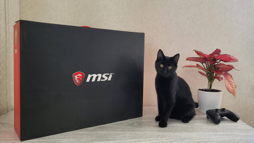 Коробка MSI TITAN GT75 8SG