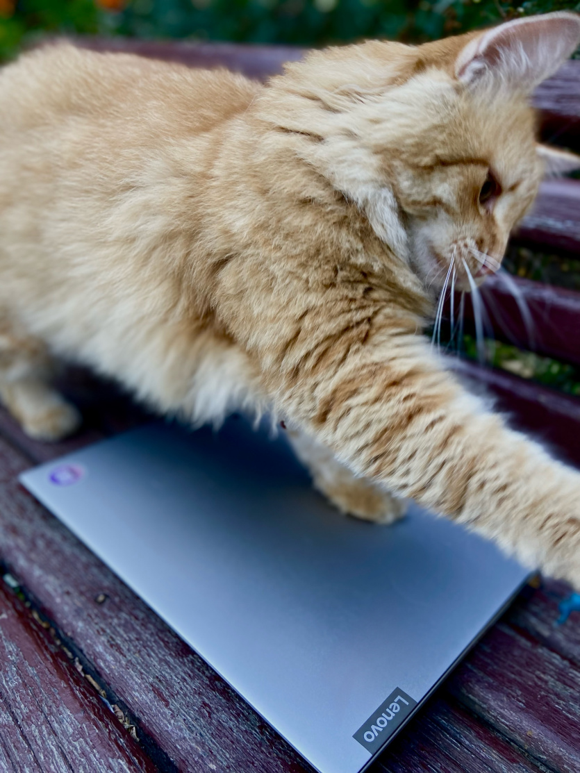 Ноутбук, який витримав зміну трьох професій, екстремально вологий клімат Шрі Ланки та нахабних одеських котів