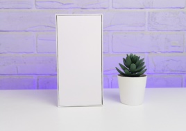 Xiaomi 14