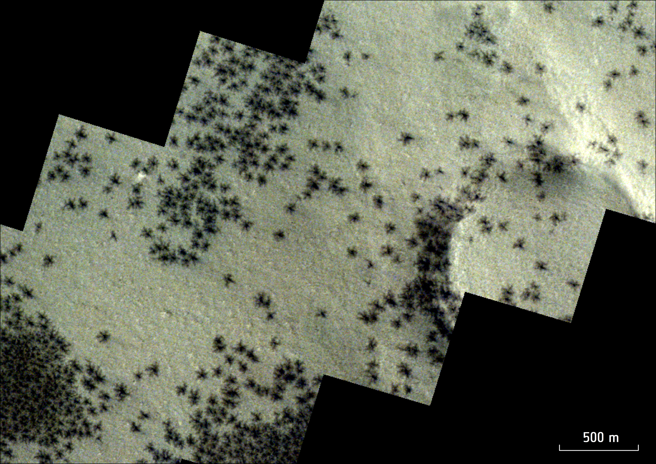 Сотні чорних «павуків», помічених орбітальним апаратом ESA ExoMars Trace Gas Orbiter. Зображення: ESA/TGO/CaSSIS