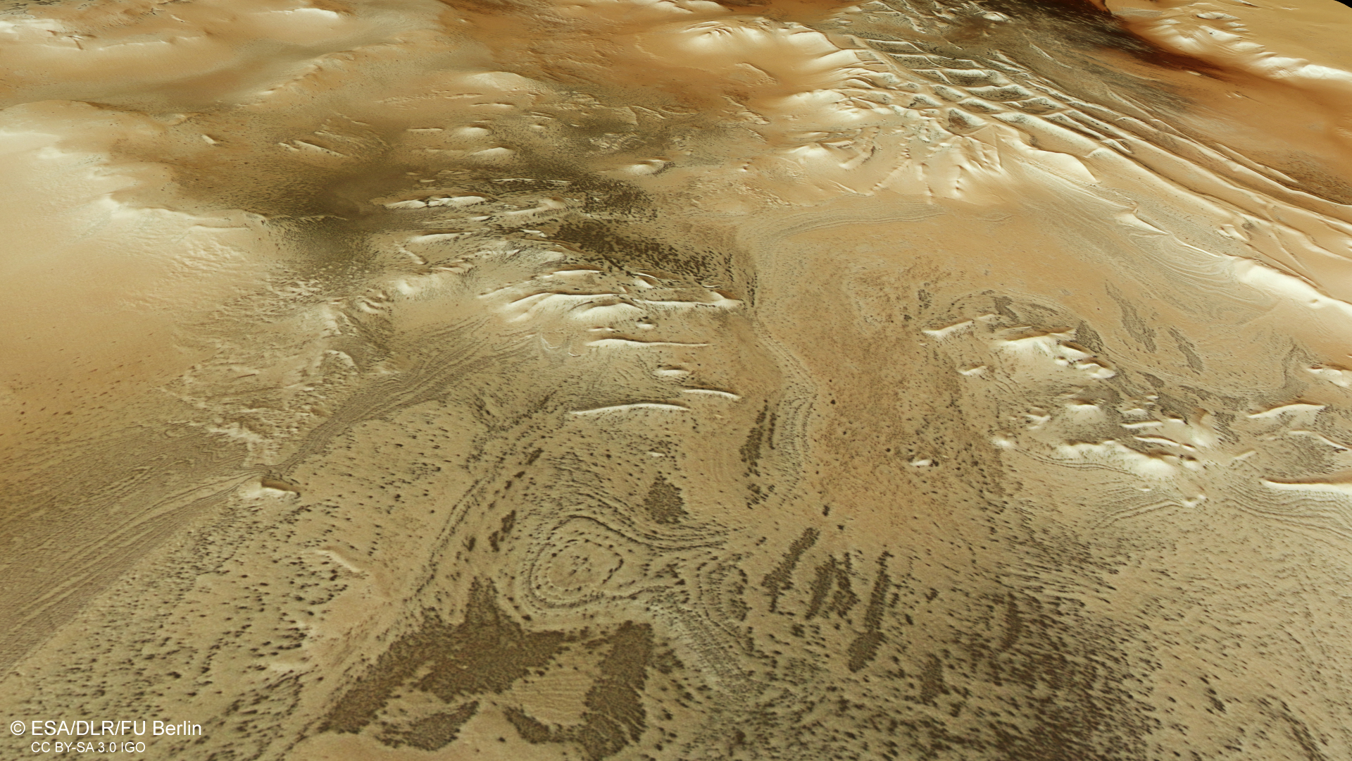 Цифрова модель утворення міста інків на Марсі, створена за останніми даними стереокамери високої роздільної здатності супутника Mars Express. На всьому зображенні видно сліди чорних «павуків», фактично продукту запорошених газових гейзерів. Зображення: ESA/DLR/FU Berlin