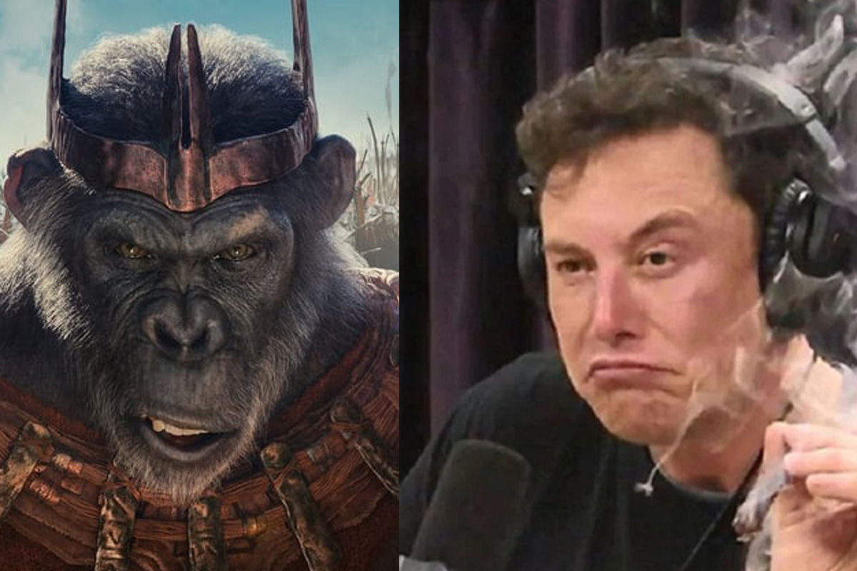 Кевин Дюранд говорит, что копировал манеры Илона Маска для образа обезьяны-злодея в фильме «Королевство планеты обезьян»