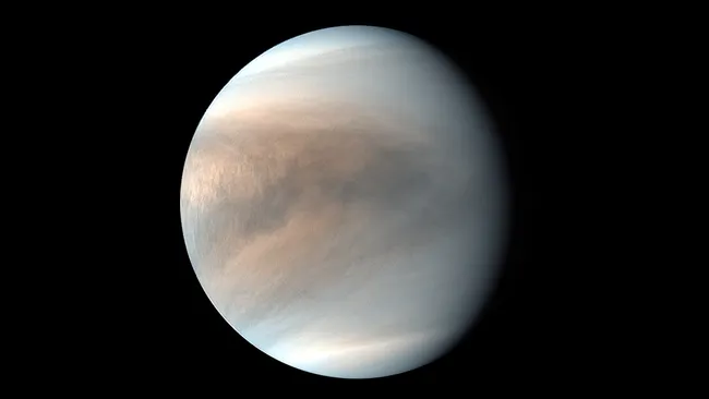 Венера, вкрита хмарами — в об'єктиві «Акацукі». Джерело: JAXA