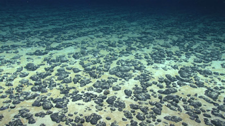 Дослідники виявили на дні океану «камені-батареї», що виробляють кисень