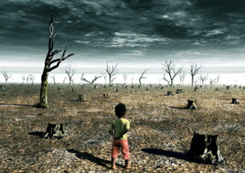 Потепління на 3°C знищить 40% світової економіки, - дослідження