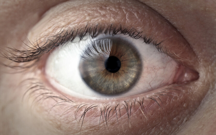 Eyes really turned out to be the mirror of the soul, — study of human memory