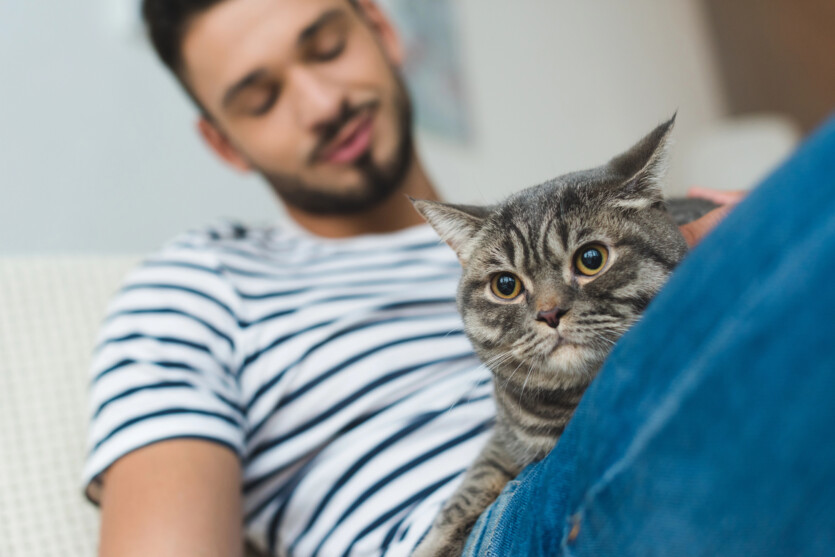 Could your cat be a psychopath? Scientists have created a test to find out