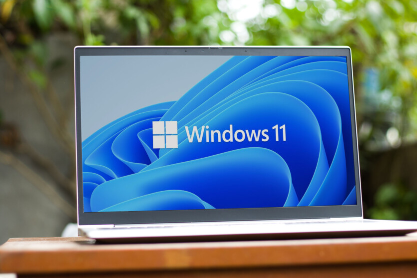 In Windows 11 settings, you’ll find an Advanced — section with features for developers and more