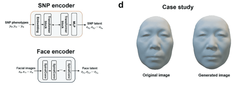 Штучний інтеклект навчився відтворювати обличчя людини за ДНК