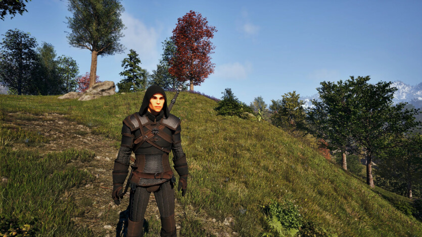 П’ять босів, знаки і мечі Геральта — Oblivion Remastered отримала мод розміром із DLC, натхненний The Witcher