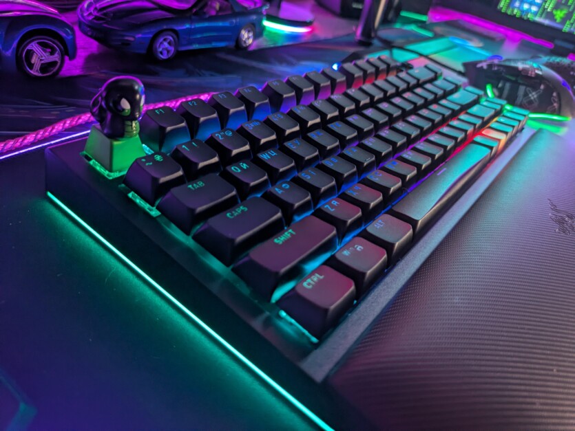 Razer з їх талісманом - мультяшною змією Sneki Snek