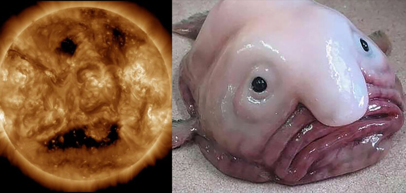 The Sun has become like a fish-drop from the meme — coronal hole forms «face» and solar wind towards the Earth