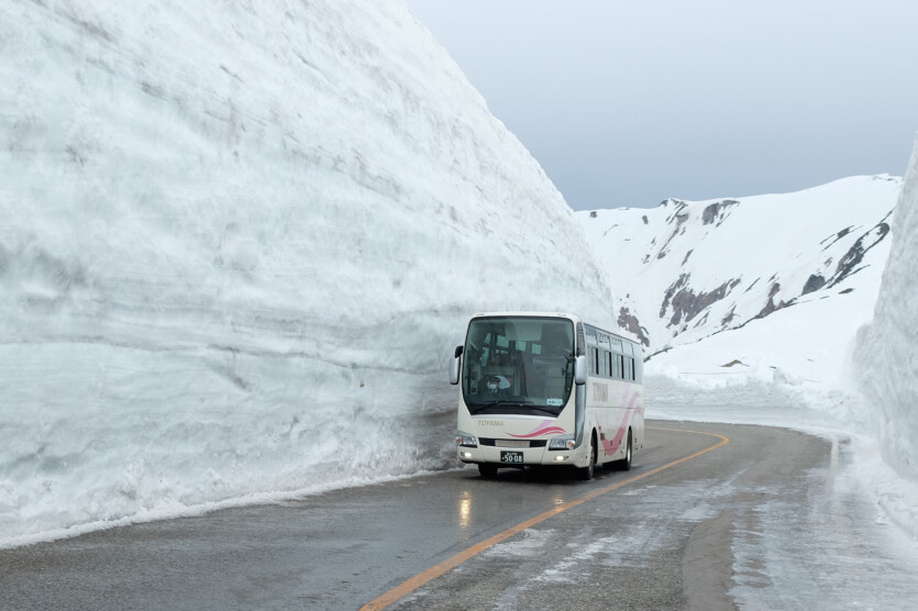 Electric transport consumes energy in the cold — scientists have found out why and how to deal with it