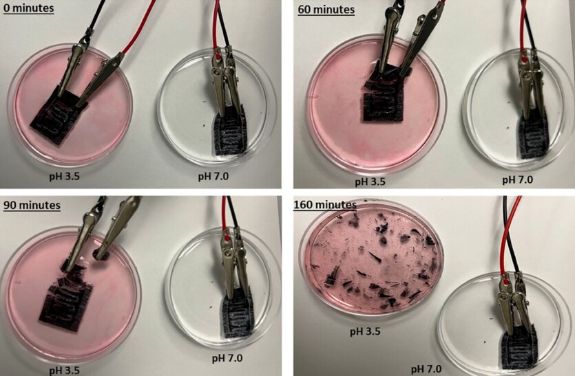 No harm, no foul: the electric biobattery eats itself after use