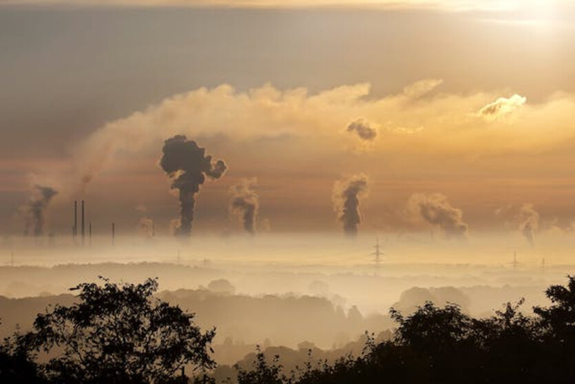Saving the planet: what scientists advise to overcome the climate crisis