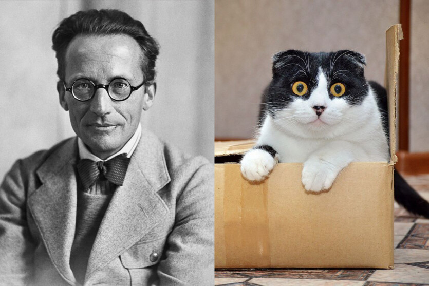 100 years of quantum physics: it works, but scientists still don’t know what it is